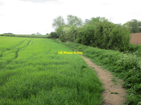 Photo 6"x4" Footpath to Swithland Swithland c2016