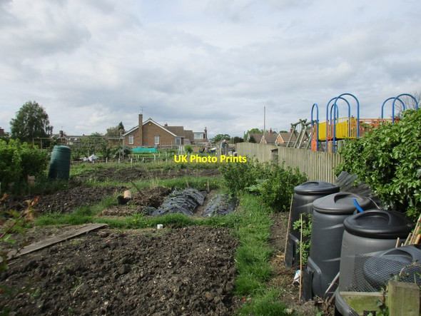 Photo 6"x4" Allotments, Wymeswold Wymeswold c2016