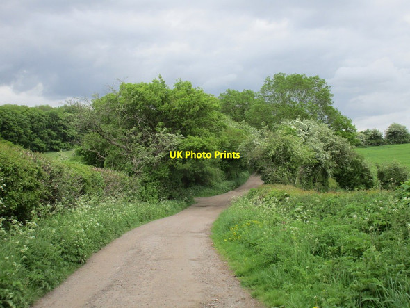 Photo 6"x4" Rushey Lane Swithland c2016