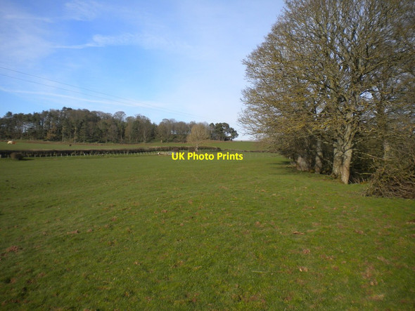 Photo 6"x4" Field south east of Kirkoswald Kirkoswald\/NY5541 c2016