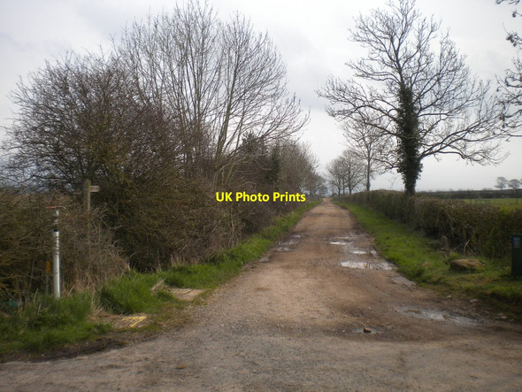 Photo 6"x4" Track north of Cliburn Town Head\/NY5825 c2016