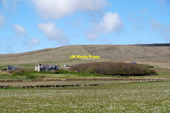 Photo 6"x4" Halligarth from Buness, Baltasound Baltasound c2016