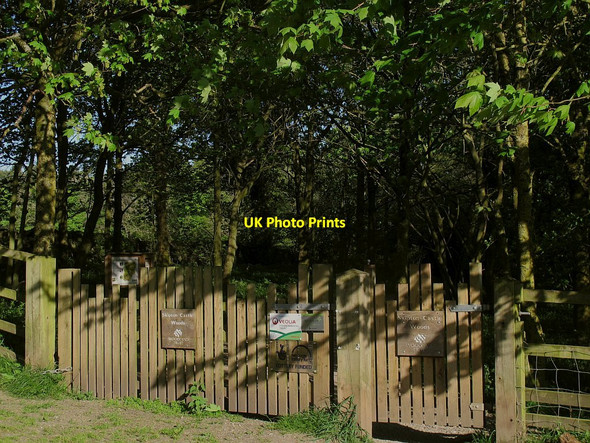 Photo 6"x4" North entrance to Skipton Castle Woods Skipton c2016