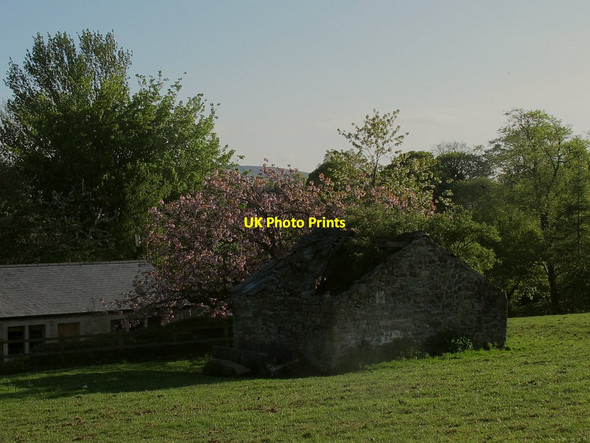 Photo 6"x4" Ruined barn on Park Hill Skipton c2016