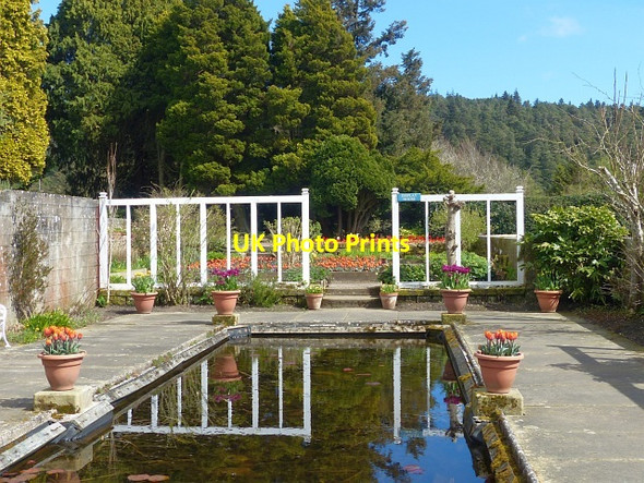 Photo 6"x4" Pond in Cragside Formal Garden Knocklaw c2016