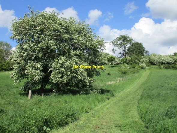 Photo 6"x4" Permissive bridleway Flixborough c2016