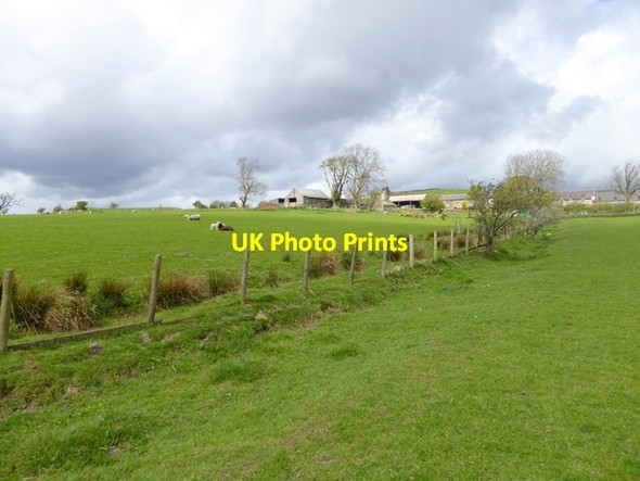 Photo 6"x4" Field boundary below Long Lee Farm Hunstanworth c2016