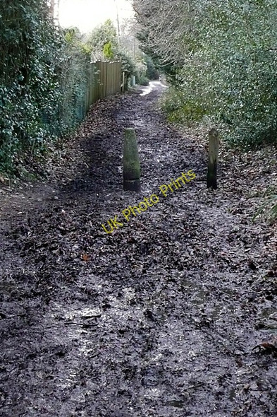 Photo 6"x4" Bridleway at Whitchurch Hill Hill Bottom c2009