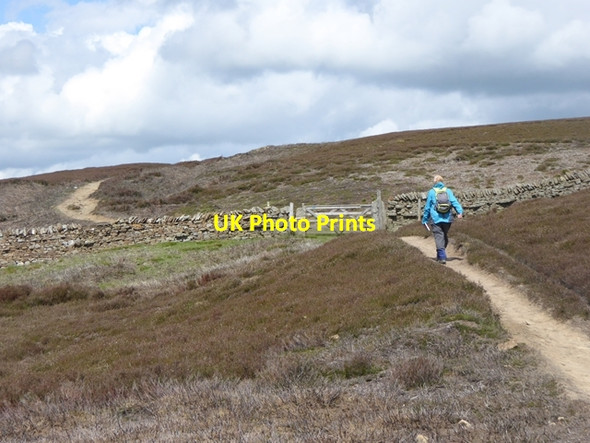 Photo 6"x4" Gate on the Carrier's Way Baybridge\/NY9550 c2016