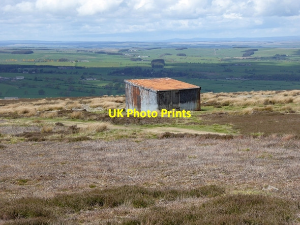 Photo 6"x4" Shed on Bulbeck Common Baybridge\/NY9550 c2016