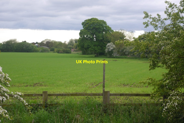 Photo 6"x4" Field on the edge of Thirsk Old Thirsk c2016