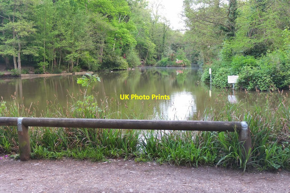 Photo 6"x4" Pond in Holly Hill Woodland Park Warsash c2016