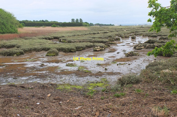 Photo 6"x4" Wendlehome Nature Reserve, River Hamble Hamble-le-Rice c2016