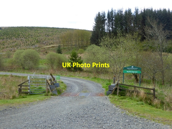 Photo 6"x4" Entrance to forest at Redfordgreen Bellendean Rig c2016