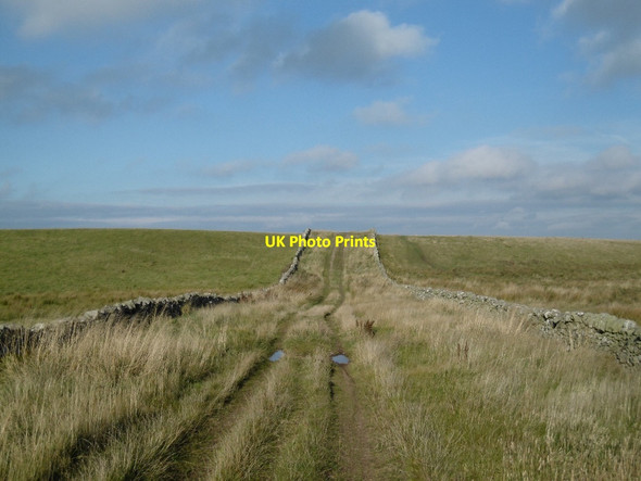 Photo 6"x4" Dere Street, Whitton Edge Swinside Hall c2015