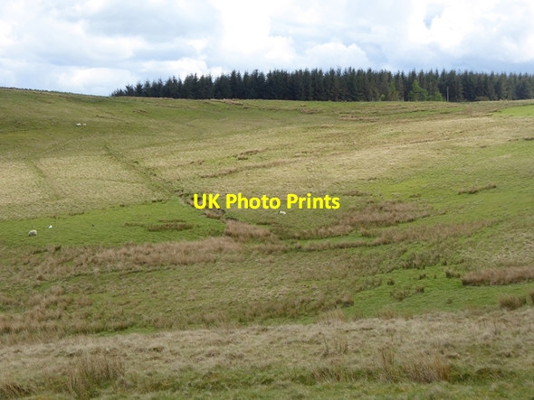 Photo 6"x4" Hillside above the Alemoor Reservoir Roberton\/NT4214 c2016