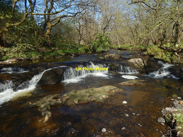 Photo 6"x4" Allander Water Milngavie c2016