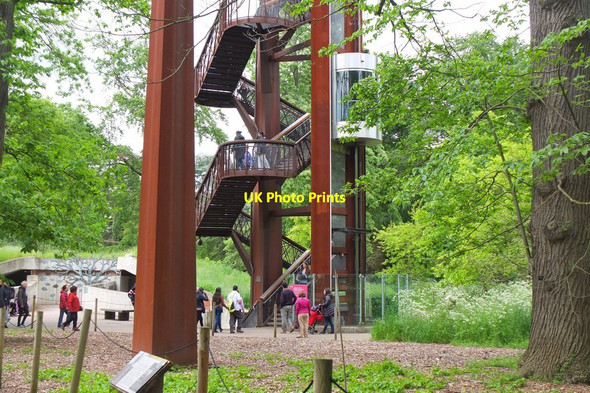 Photo 6"x4" Treetop Walkway, Kew Gardens Brentford c2016