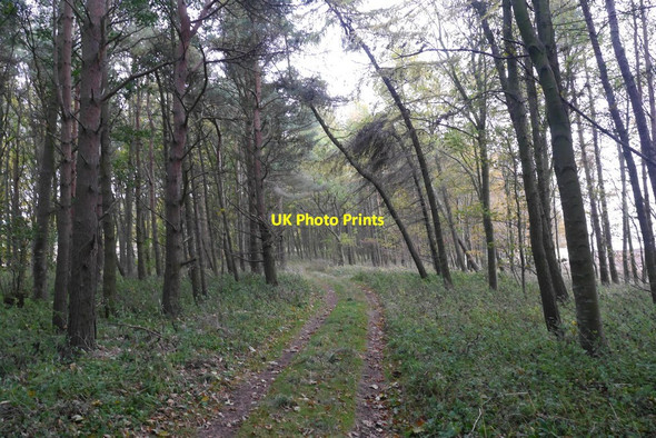 Photo 6"x4" Track, Lawhead Hill Garvald\/NT5870 c2015