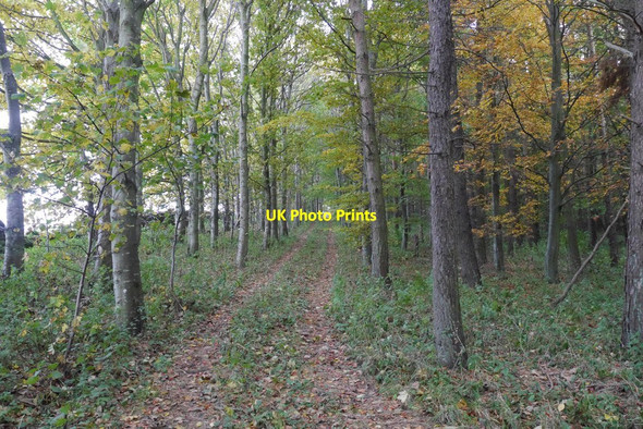 Photo 6"x4" Track on Lawhead Hill Garvald\/NT5870 c2015