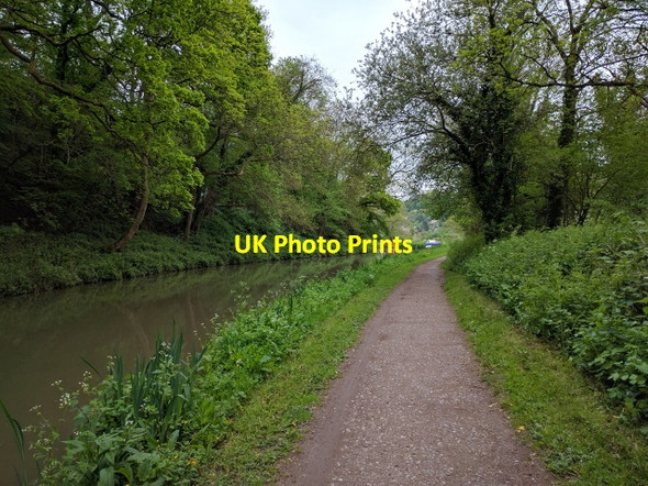 Photo 6"x4" Kennet and Avon canal, looking south Freshford\/ST7860 c2016