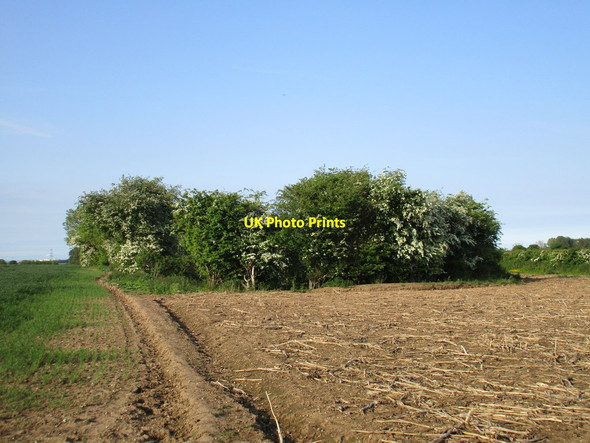 Photo 6"x4" Old pit Riby c2016