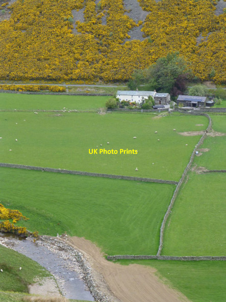 Photo 6"x4" Swineside with its pastures Mosedale\/NY3532 c2016