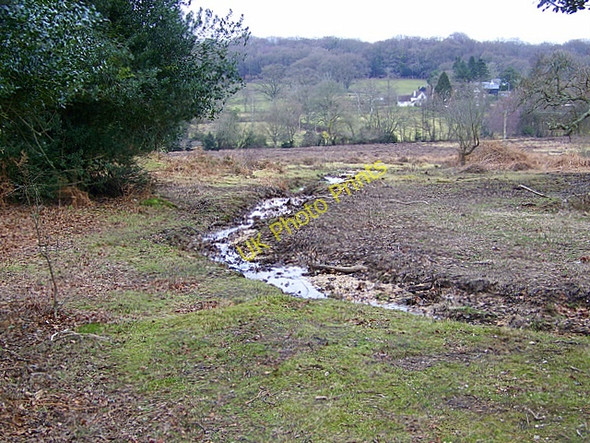 Photo 6"x4" Towards Eyeworth Lodge Fritham c2009