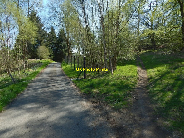 Photo 6"x4" The John Muir Way near Carbeth House Blanefield\/NS5579 c2016