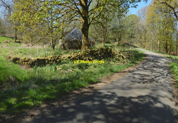 Photo 6"x4" The John Muir Way at the Clachan Blanefield\/NS5579 c2016