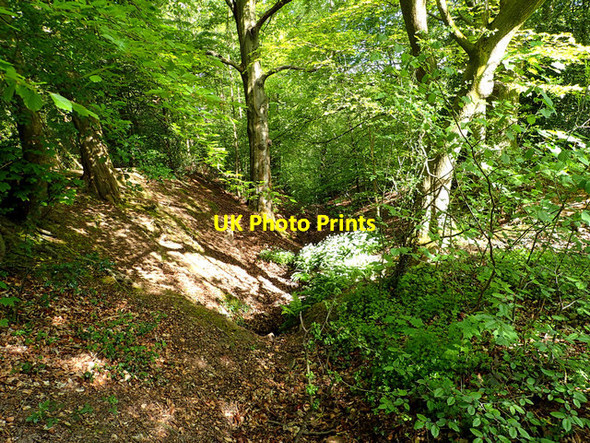 Photo 6"x4" Dry Gulley Marple c2016