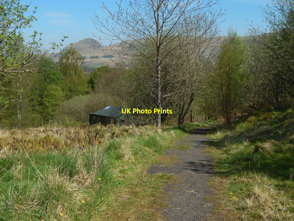 Photo 6"x4" The John Muir Way near Carbeth Huts Blanefield\/NS5579 c2016 P1