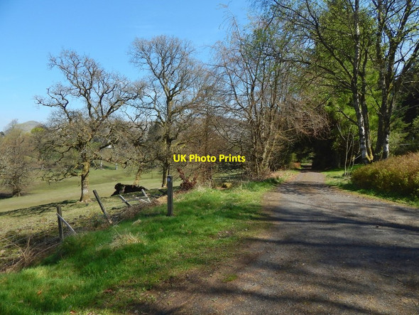 Photo 6"x4" The John Muir Way at Carbeth Huts Blanefield\/NS5579 c2016