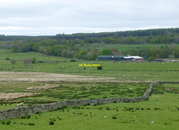 Photo 6"x4" Moss Dyke farm Mungrisdale c2016