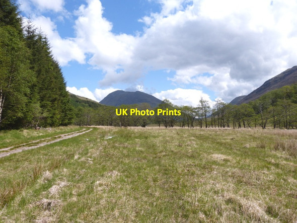 Photo 6"x4" Meadow alongside track up glen, Gulvain beyond Kinlocheil c2016