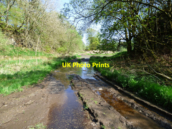 Photo 6"x4" Muddy track at Cairncurran quarry Burnbank Fm\/NS3169 c2016