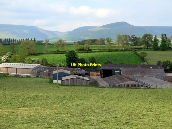 Photo 6"x4" Lowfield Farm Appleby-in-Westmorland c2016