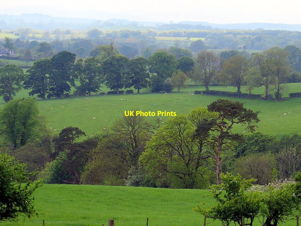Photo 6"x4" View west over River Eden valley Appleby-in-Westmorland c2016