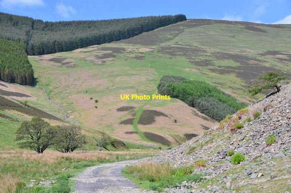 Photo 6"x4" Track below Kill Brae (2) Walkerburn c2016