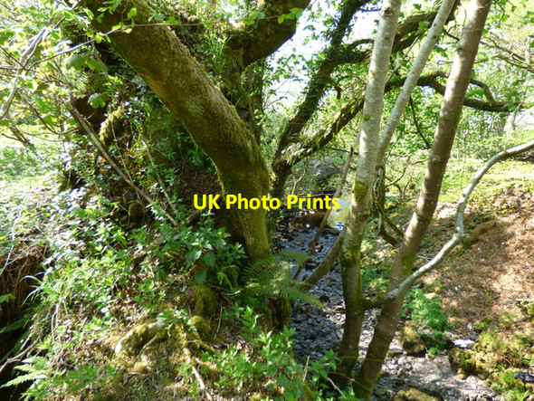 Photo 6"x4" Duchal Castle (remains) Kilmacolm c2016