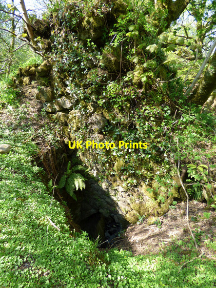 Photo 6"x4" Duchal Castle (remains) Kilmacolm c2016 P1