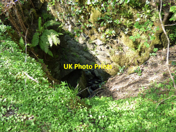 Photo 6"x4" Duchal Castle (remains) Kilmacolm c2016 P2