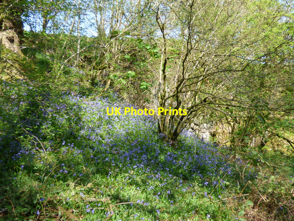 Photo 6"x4" Duchal Castle (remains) Kilmacolm c2016 P5