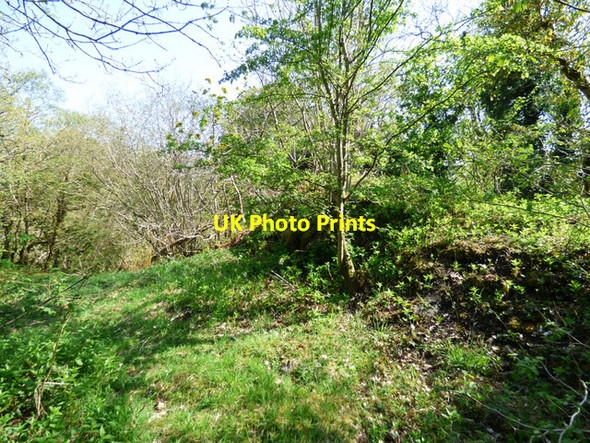 Photo 6"x4" Duchal Castle (remains) Kilmacolm c2016 P2