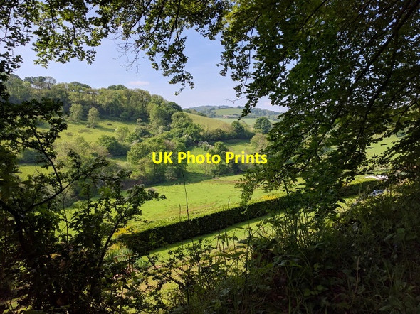 Photo 6"x4" View into the valley from the road to Cadeleigh Cadeleigh c2016