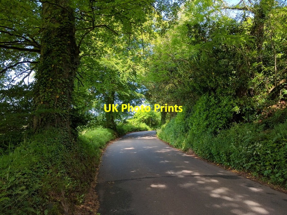 Photo 6"x4" Up hill and around the bend, towards Cadeleigh Cadeleigh c2016