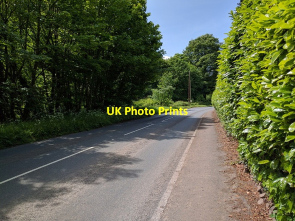 Photo 6"x4" Going up Longdrag Hill, on the footpath Tiverton\/SS9512 c2016