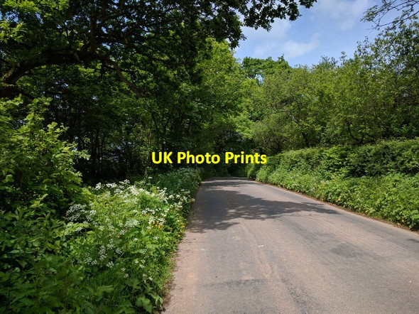 Photo 6"x4" Heading for the 17% downhill into Tiverton Tiverton\/SS9512 c2016