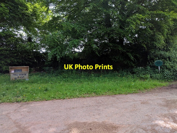 Photo 6"x4" Free range eggs for sale at the entrance to Rhode farm Tiverton\/SS9512 c2016