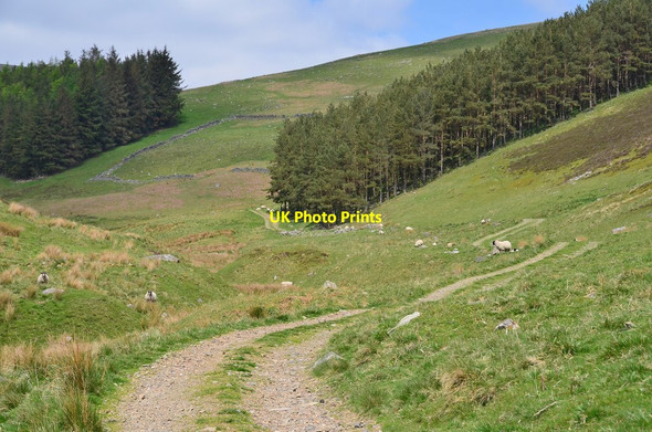 Photo 6"x4" Track in Seat Hope Maiden Law\/NT3941 c2016